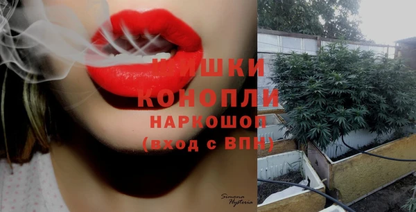 мдпв Новокубанск
