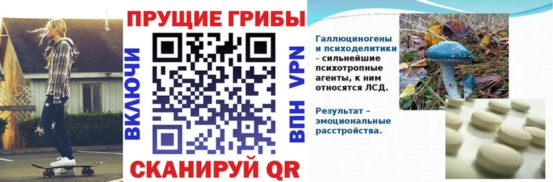 Псилоцибиновые грибы Cubensis  mega ССЫЛКА  Тара 