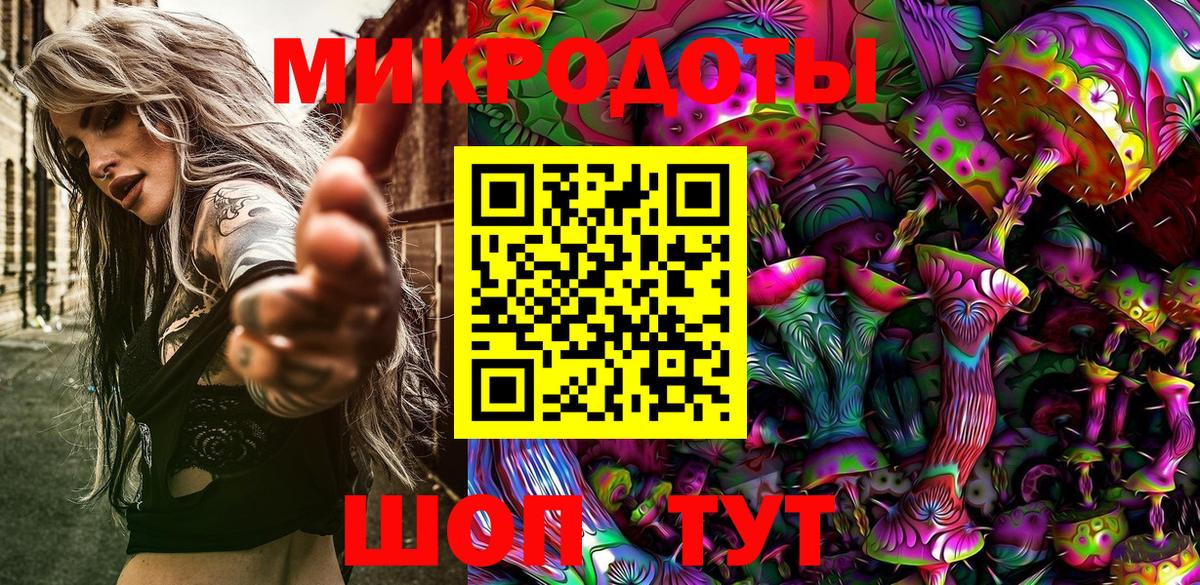 Псилоцибиновые грибы Psilocybine cubensis Тара